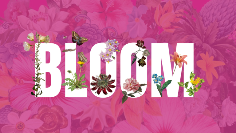 BLOOM Online-Ausstellung