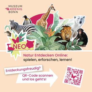 Natur Entdecken Online – NEO