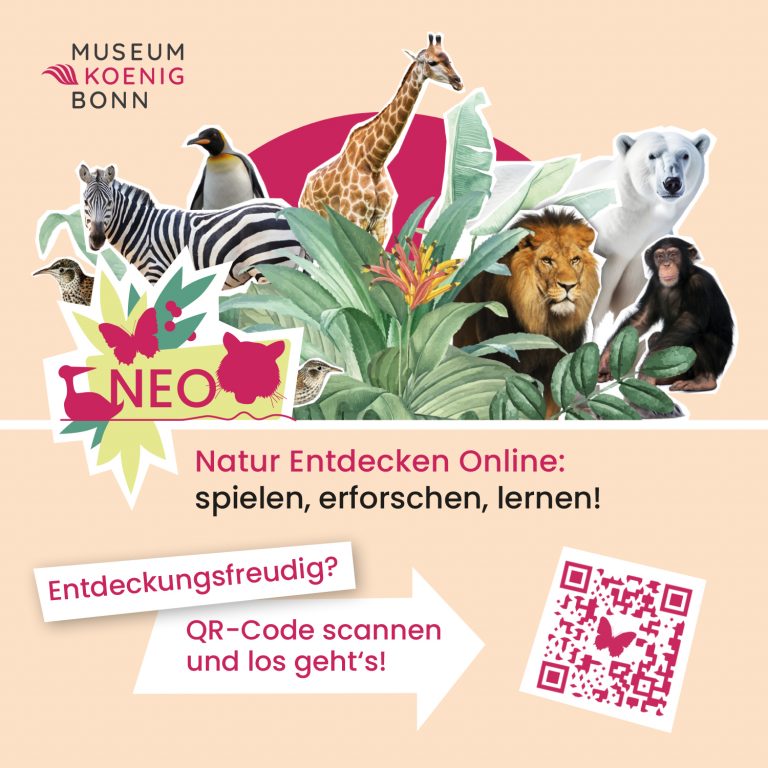 Natur Entdecken Online – NEO