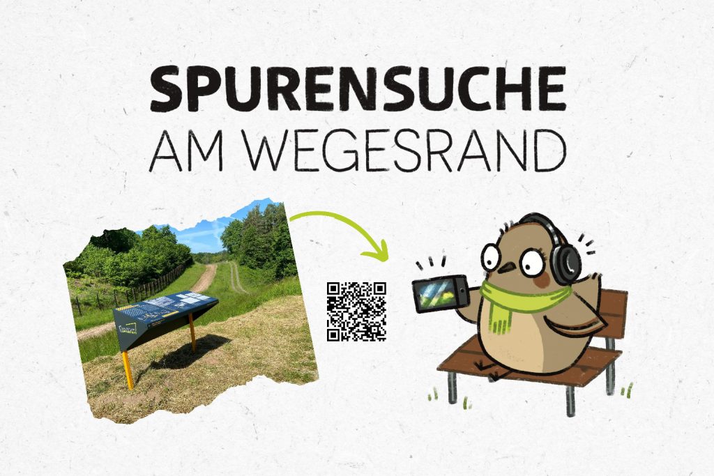 Spurensuche am Wegesrand – ein digitales Angebot für Kinder, Familien und Schulklassen am TOP-Grenzwanderweg Schifflersgrund